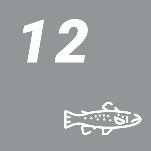 Törchen 12