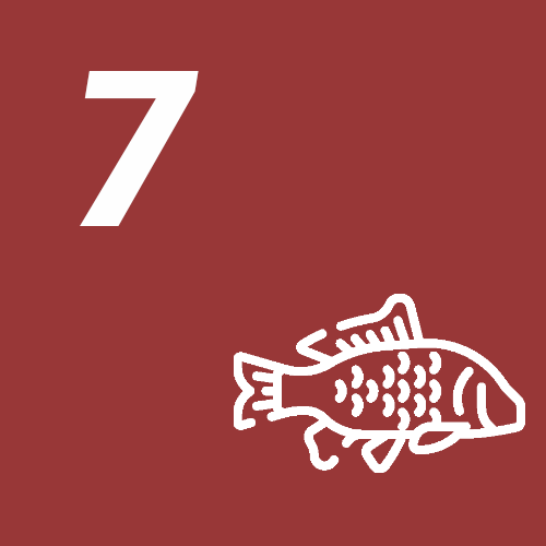 Törchen 7